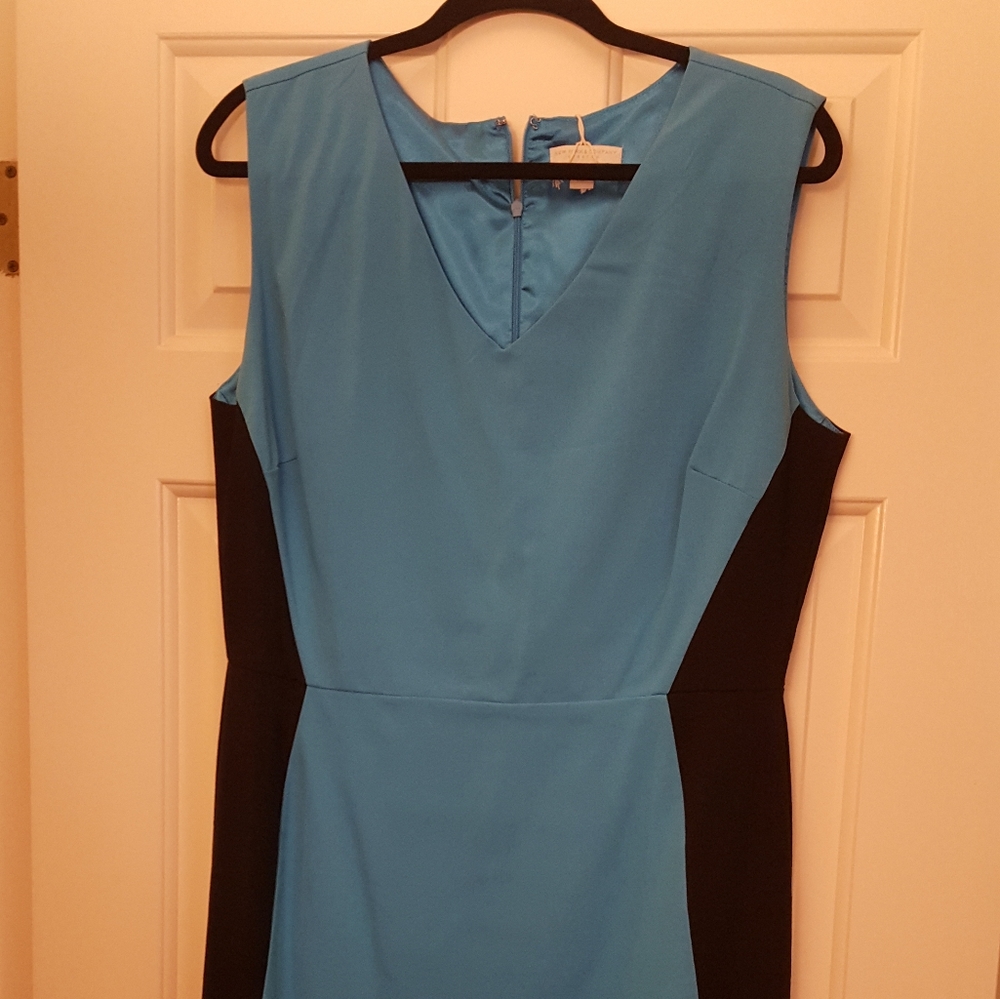 New York & Co color block dress
